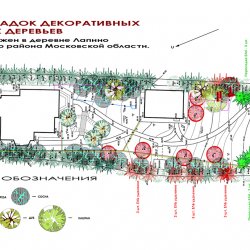 Проект ландшафтного дизайна участка - посадочный чертеж к дендроплану